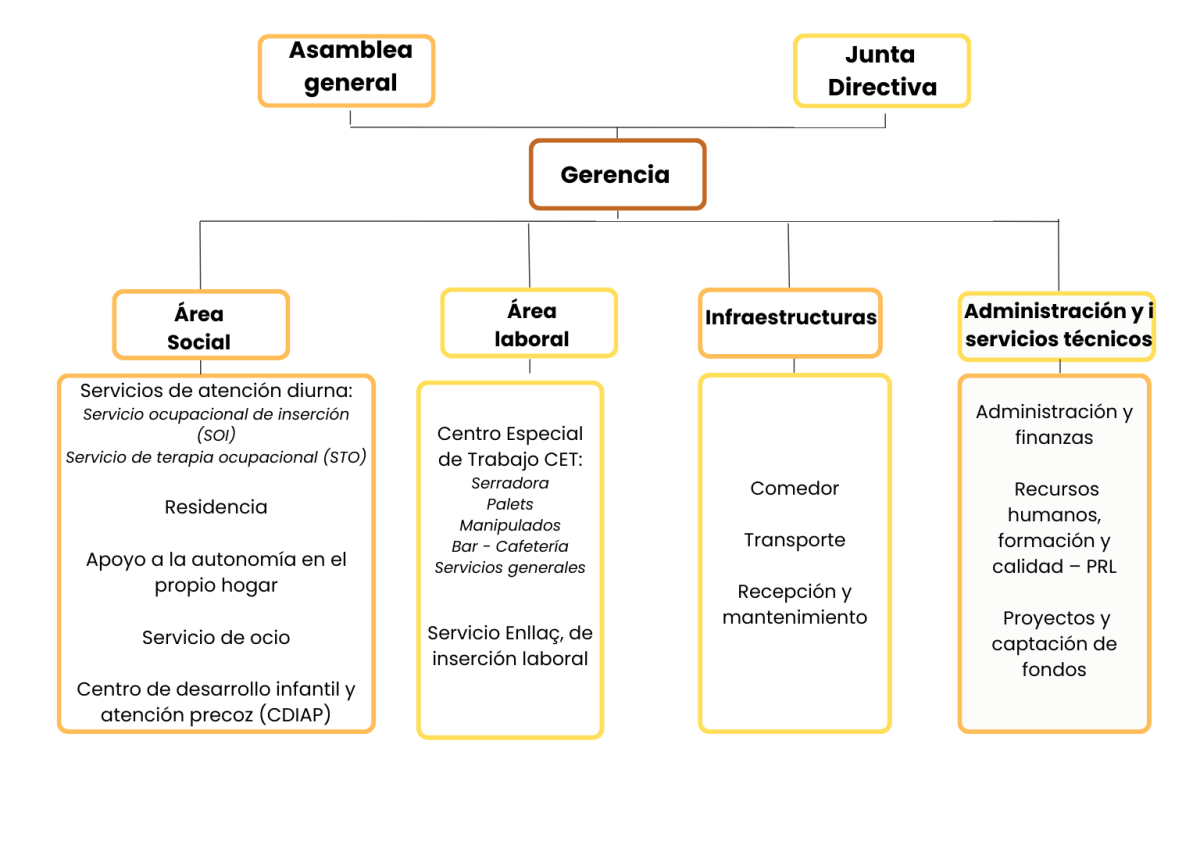 ORGANIGRAMA OPCIÓ 1 cast